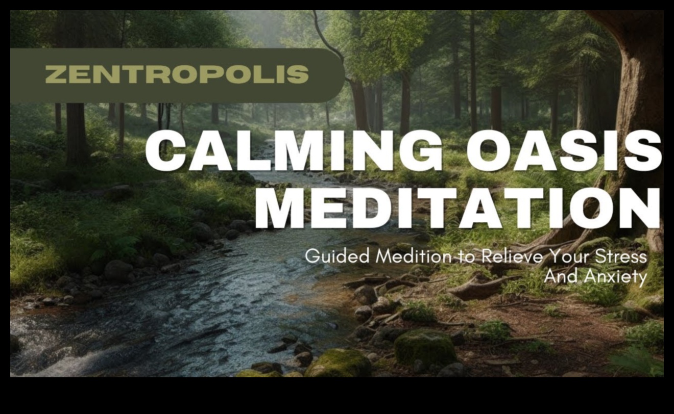 Calm Oasis: Deblocarea reducerii zilnice a stresului prin meditație