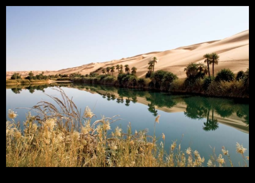 Desert Oasis: Viața în mijlocul peisajelor aride