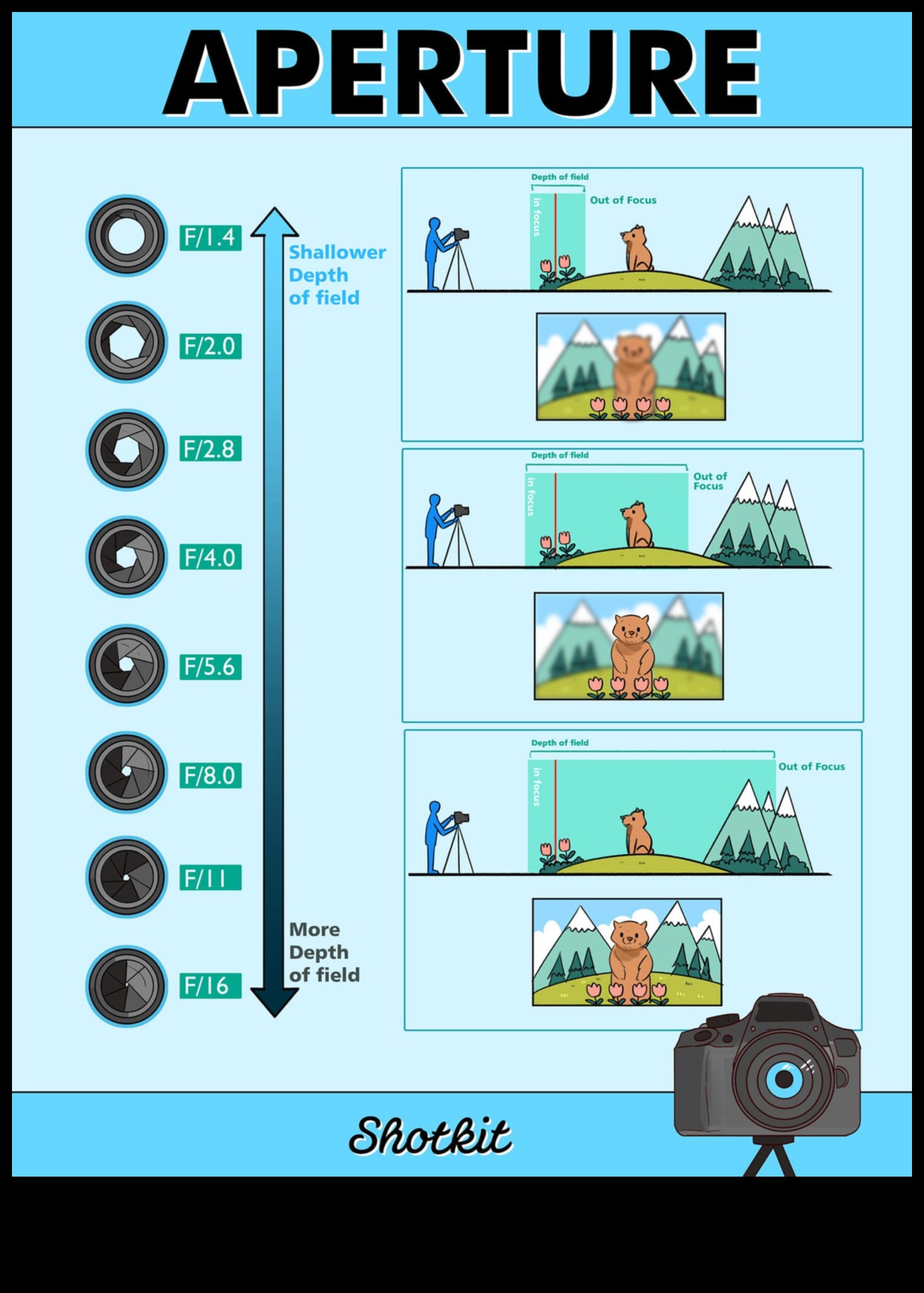 Aperture Aces: Transformă-ți fotografia prin educație cuprinzătoare