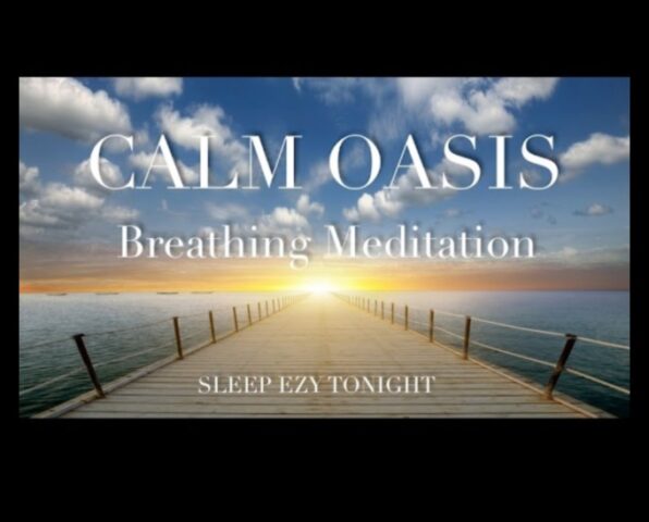 Calm Oasis Un ghid pentru reducerea stresului zilnic prin meditație