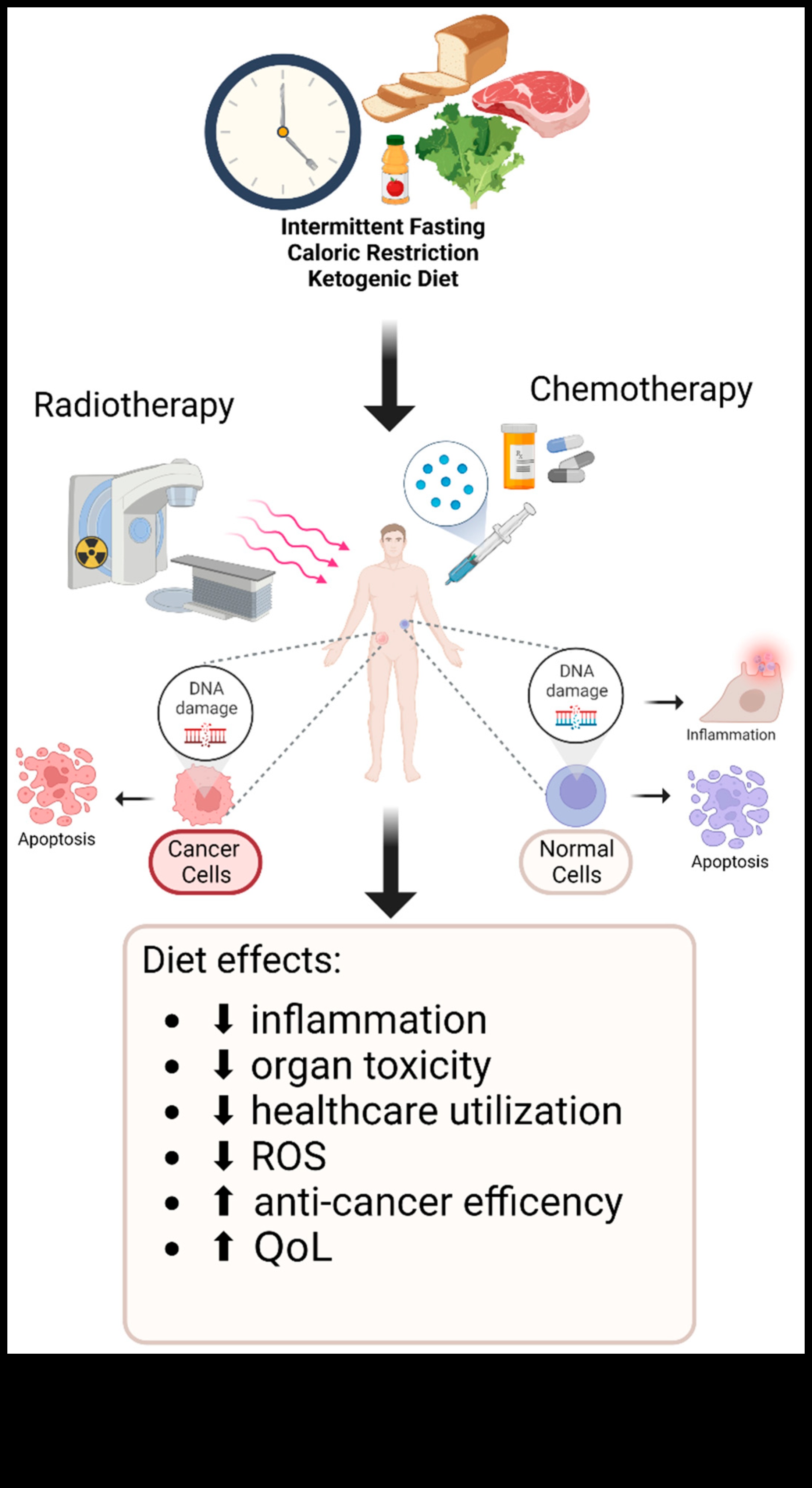 Impactul dietei ketogenice asupra prevenirii cancerului