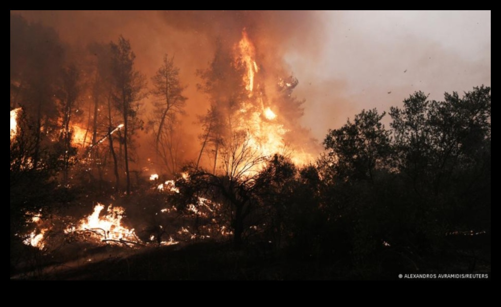 De ce anumite peisaje sunt mai vulnerabile la incendii?